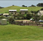 Ace Hi Riding Ranch