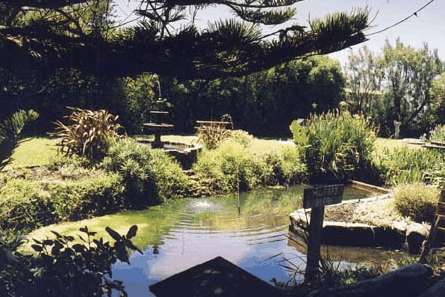 Bayside Gardens - Holiday Great Ocean Road
