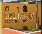 Seahorse Motel - Holiday Great Ocean Road 1