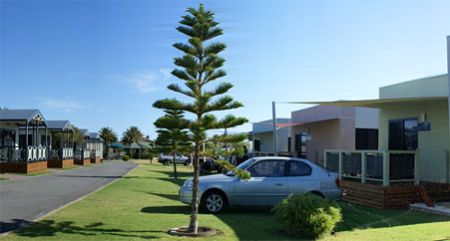 Discovery Parks -Adelaide Beachfront  - Holiday Great Ocean Road 1