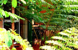 Mission Beach Rainforest Motel - Holiday Great Ocean Road 3