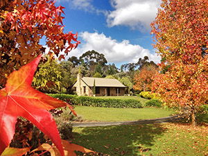 Adelaide Hills Country Cottages - Lavender Fields - Holiday Great Ocean Road 0