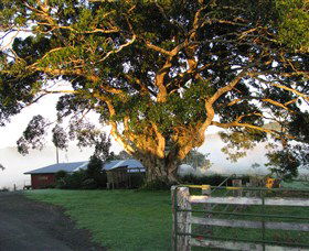 Arley Farm, The Old Dairy - Holiday Great Ocean Road 0