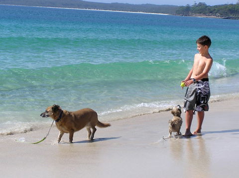 A Paradise Bungalow Waterfront - Holiday Great Ocean Road 1