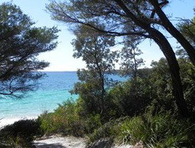 Booderee National Park: Bristol Point Camping Area - Holiday Great Ocean Road 2