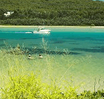 Wooli Camping and Caravan Park