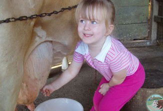Ashmar Farm Stay - Holiday Great Ocean Road 5