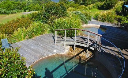 OReillys Rainforest Retreat - Holiday Great Ocean Road 4