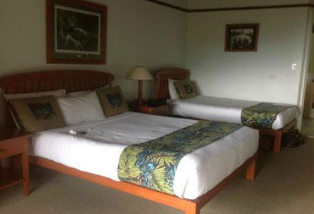 OReillys Rainforest Retreat - Holiday Great Ocean Road 5