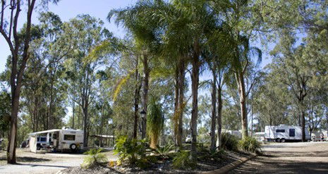 Barambah Bush Caravan Park - Holiday Great Ocean Road 1