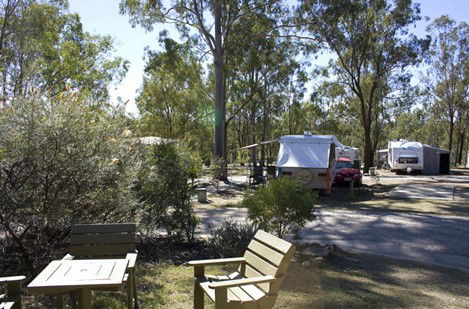 Barambah Bush Caravan Park - Holiday Great Ocean Road 3
