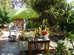 Karri Patch Cottage - Holiday Great Ocean Road 3