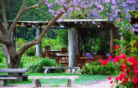 Bago Vineyards - Holiday Great Ocean Road 1