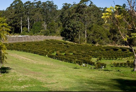 Bago Vineyards - Holiday Great Ocean Road 2