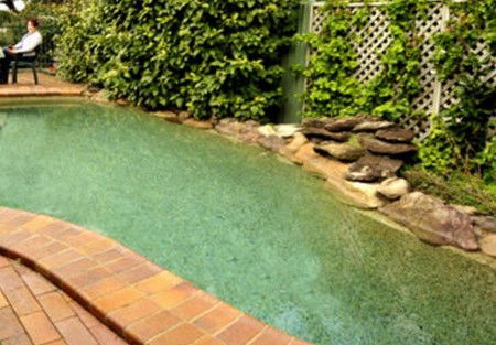 Newcomen Bed And Breakfast - Holiday Great Ocean Road 2