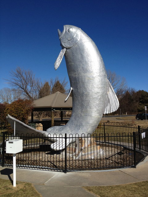 Snow Goose Hotel Motel - Holiday Great Ocean Road 0