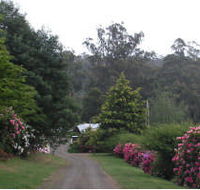 Mountain Rivers Lodge - Holiday Great Ocean Road