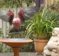 Wattle Court  Retreat - Holiday Great Ocean Road