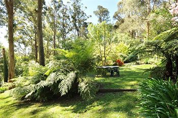 Holly Lodge - Holiday Great Ocean Road 3