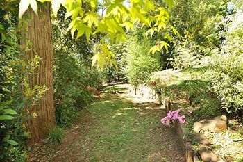 Holly Lodge - Holiday Great Ocean Road 4