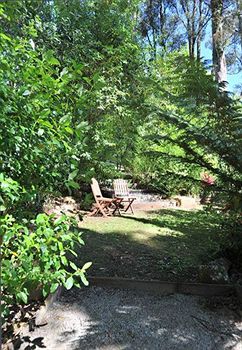 Holly Lodge - Holiday Great Ocean Road 14