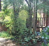 Storey Grange