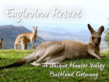 Eagleview Resort - Holiday Great Ocean Road 45