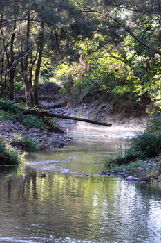 Yabbaloumba Retreat - Holiday Great Ocean Road 5