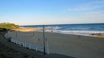 Newcastle Beach Hotel - Holiday Great Ocean Road 16
