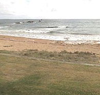 Penguin Caravan Park