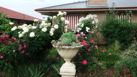 Admurraya House Bed And Breakfast - Holiday Great Ocean Road 5