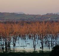 Salisbury - Holiday Great Ocean Road