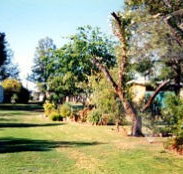 Condamine River Caravan Park - Holiday Great Ocean Road