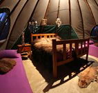 Aranyani Bison Adventure Tourist Park - Holiday Great Ocean Road