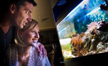 BIG4 Northstar Holiday Resort And Caravan Park - Holiday Great Ocean Road 4