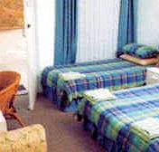 Tall Timbers Motel - Holiday Great Ocean Road