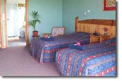 Trade Winds Country Cottages - Holiday Great Ocean Road 1