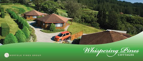Whispering Pines - Holiday Great Ocean Road 5