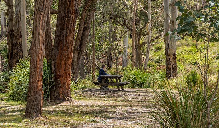 Acacia Creek ACT Holiday Great Ocean Road