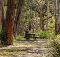 Koreelah Creek campground - Holiday Great Ocean Road
