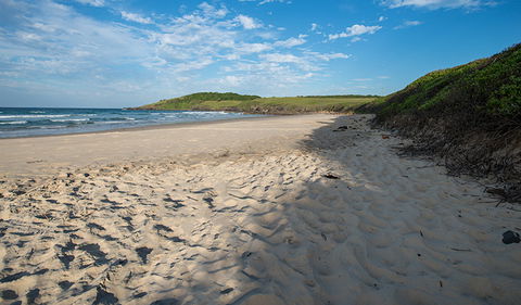 Racecourse Campground - Holiday Great Ocean Road 2