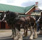 Araluen Valley Hotel - Araluen - Holiday Great Ocean Road