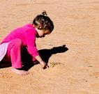 Stony Creek Farm B and B - Holiday Great Ocean Road