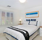 Pelican Paradise -