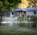 Mt Clunie Cabins - Holiday Great Ocean Road