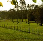 Stone Cottage Mittagong - Holiday Great Ocean Road