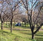 Worrowing Boat Shed - Holiday Great Ocean Road