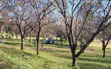 Worrowing Boat Shed - Holiday Great Ocean Road 0