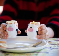 Cosy Cow Farmstay Bed and Breakfast - Holiday Great Ocean Road