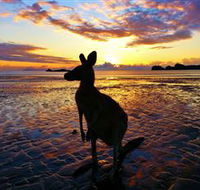 Cape Hillsborough Nature Tourist Park - Holiday Great Ocean Road